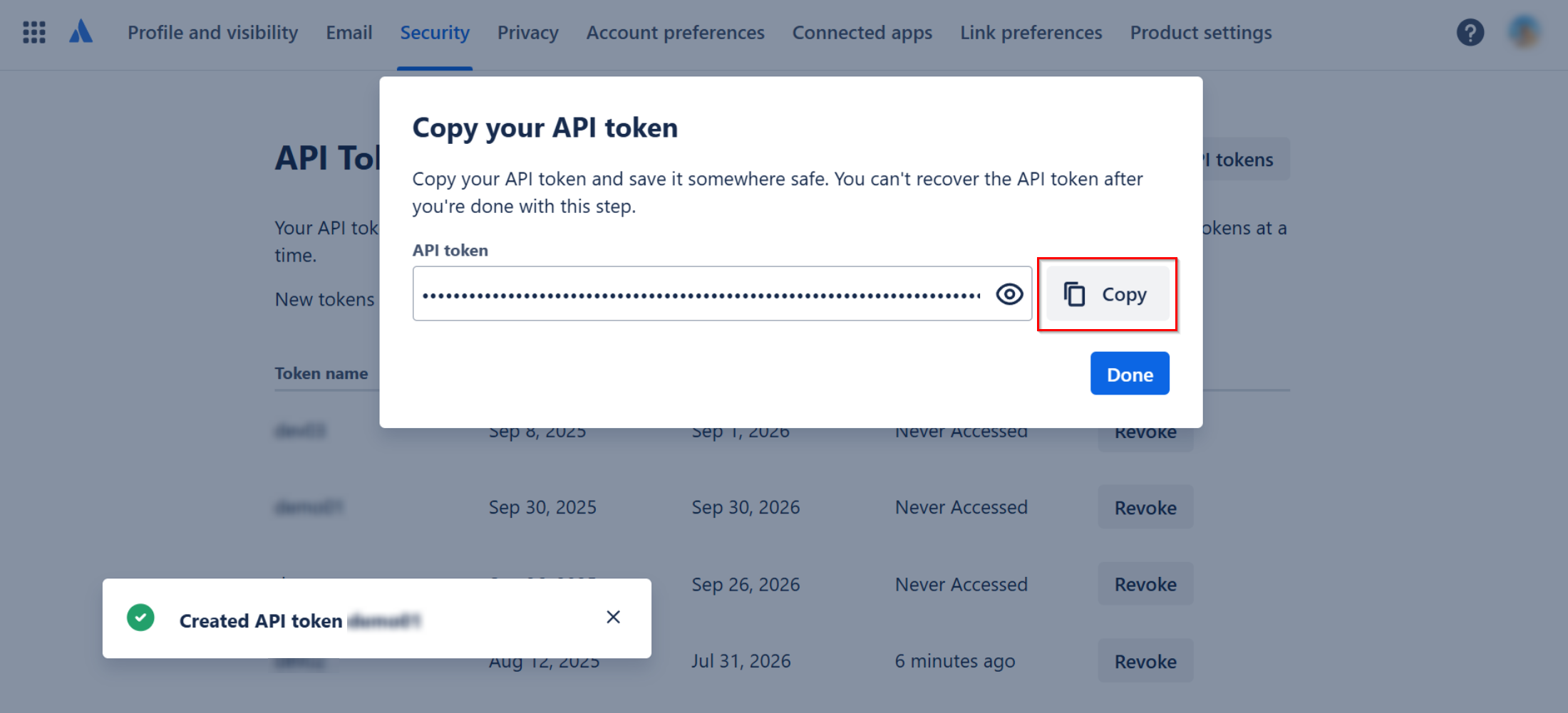 Click Copy to copy the API token.