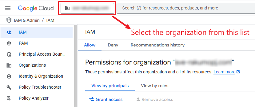 Select the organization from the resource list.