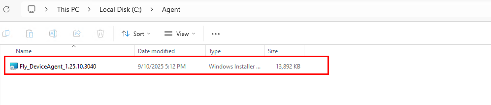 The downloaded file.