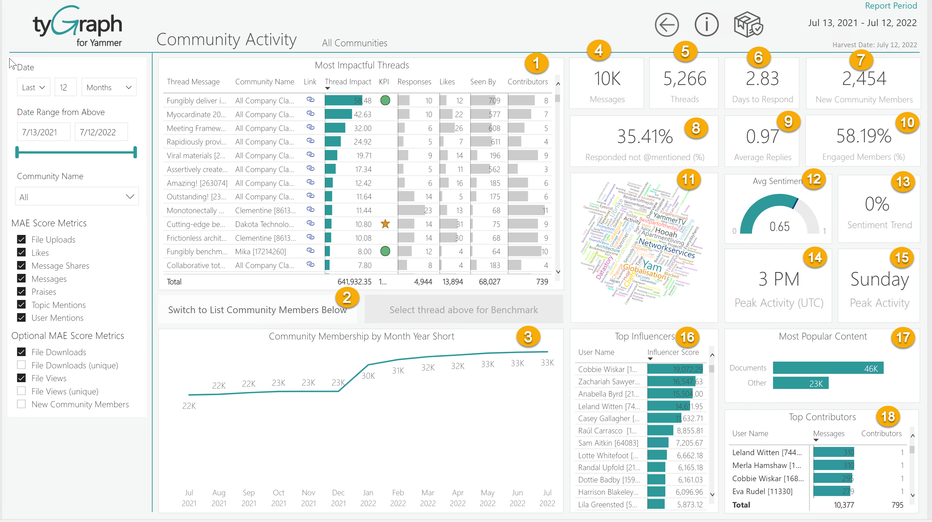 An image of Community Activity report tab